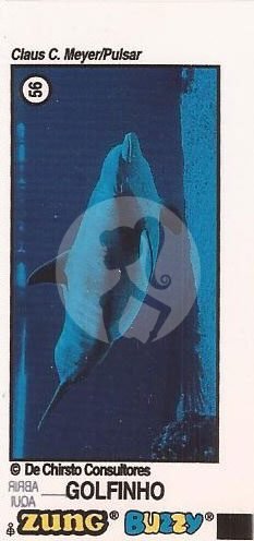 N 56 - Comum