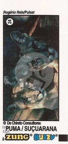 N 24 - Comum