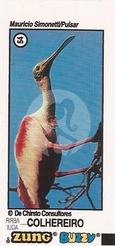 N 54 - Comum